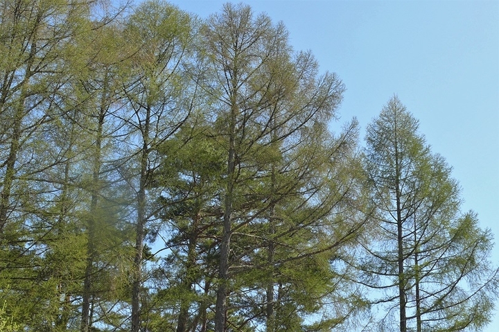 P1100578.JPG