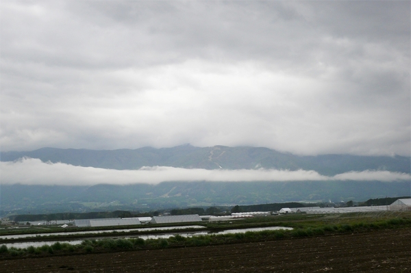 P1100672.JPG
