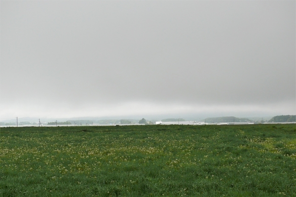 P1110017.JPG