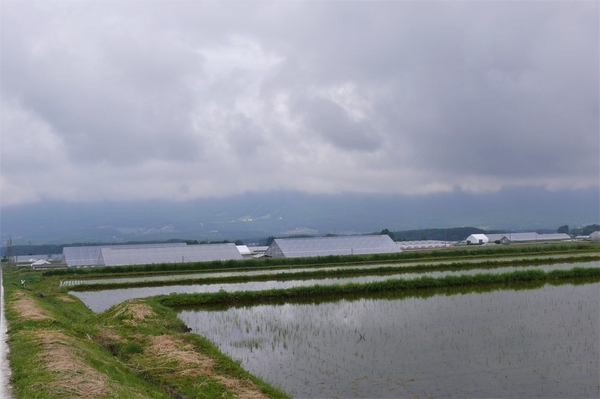 P1110763.JPG