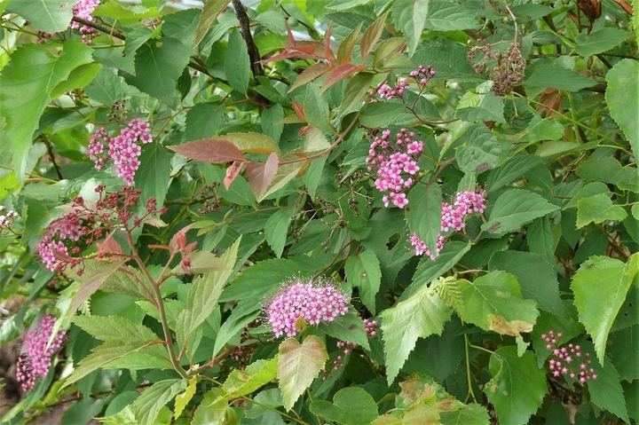 P1120130.JPG