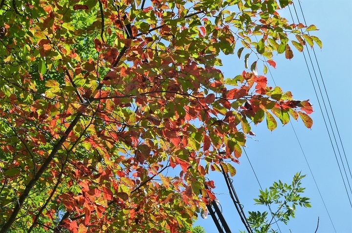 P1140427.JPG