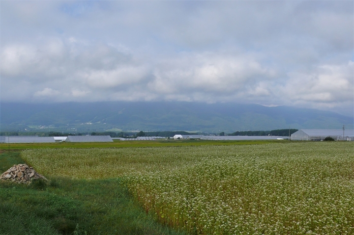 P1140443.JPG