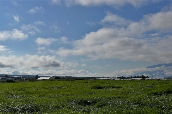 P1140764.JPG