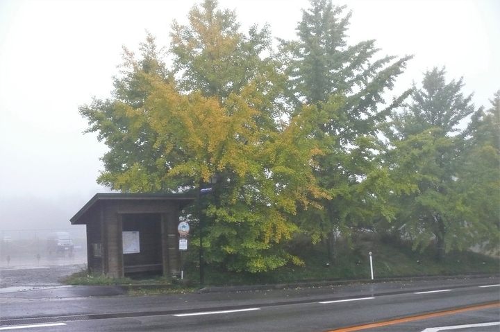 P1150209.JPG