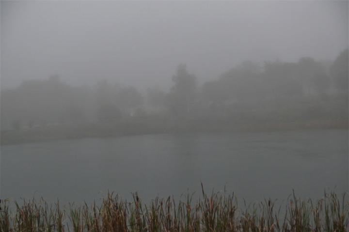 P1150211.JPG