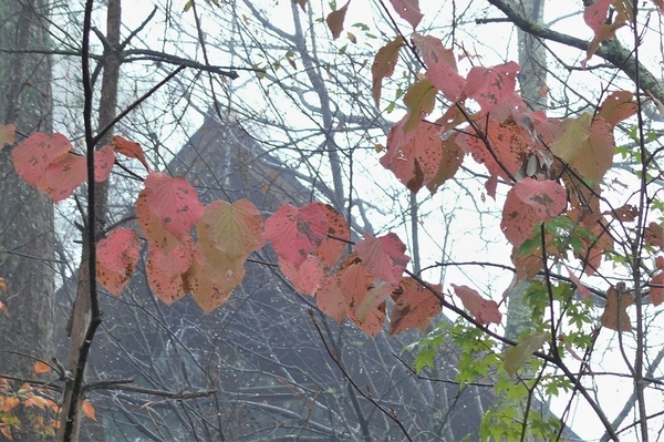 P1150254.JPG