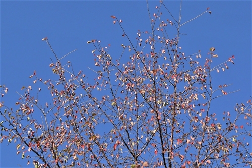 P1150380.JPG