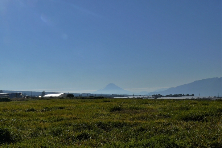 P1150553.JPG