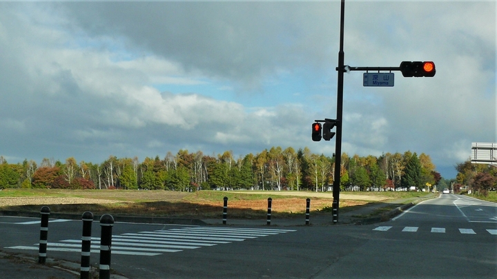 P1150578.JPG