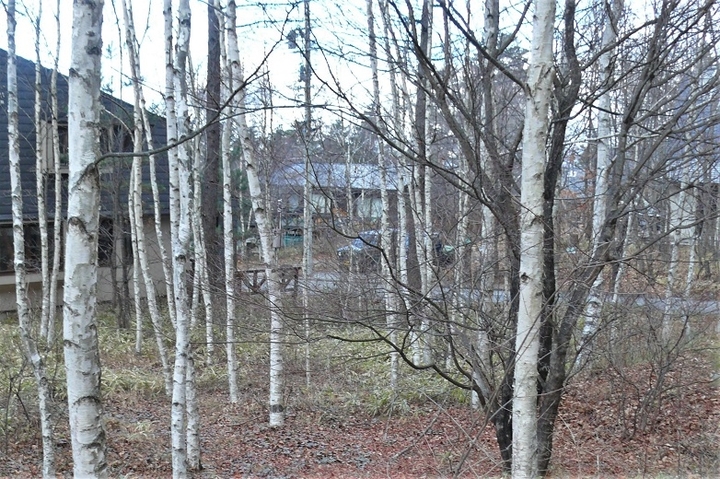P1170270.JPG