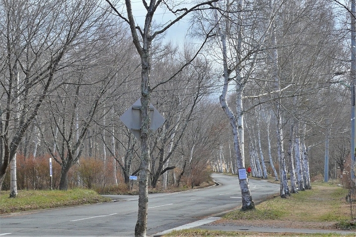 P1170272.JPG