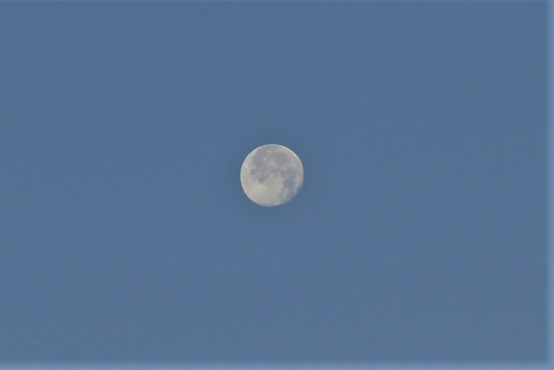 P1170577.JPG