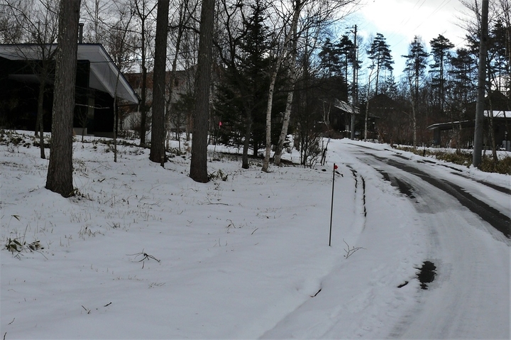 P1170883.JPG