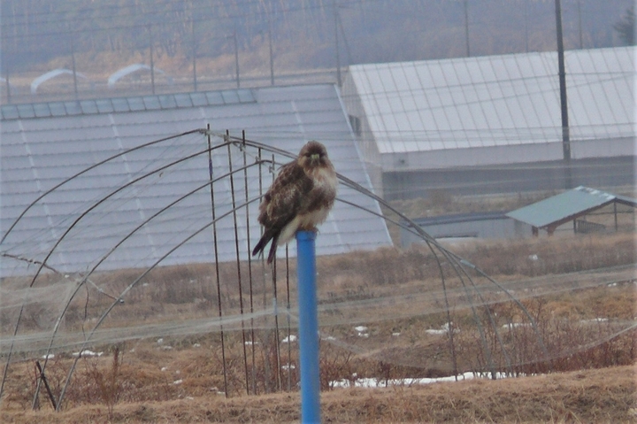 P1170979.JPG