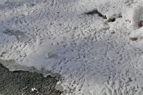 P1180701.JPG