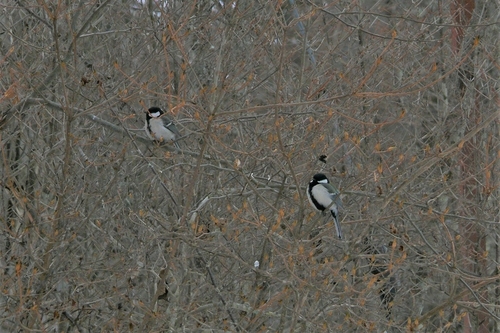 P1190227.JPG
