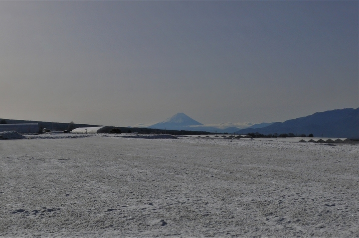 P1190729.JPG