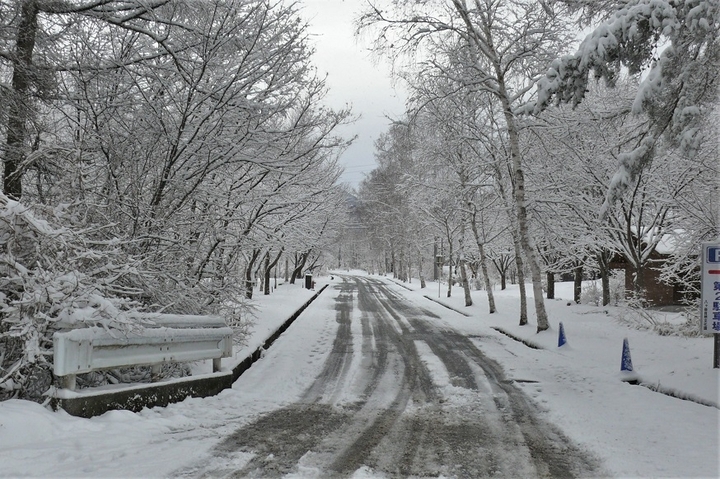 P1200057.JPG
