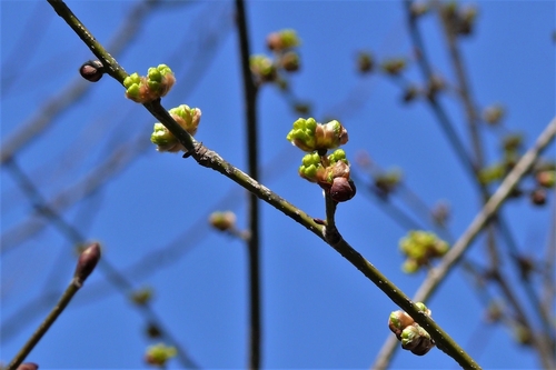 P1200304.JPG