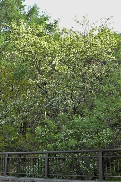 P1210020.JPG