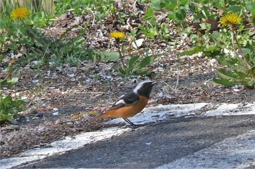 P1210006.JPG
