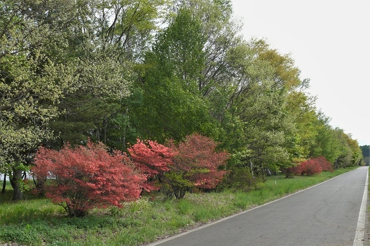 P1210038.JPG