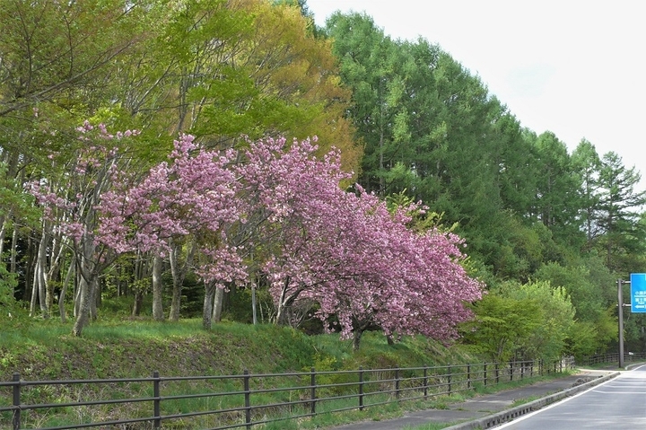 P1210043.JPG