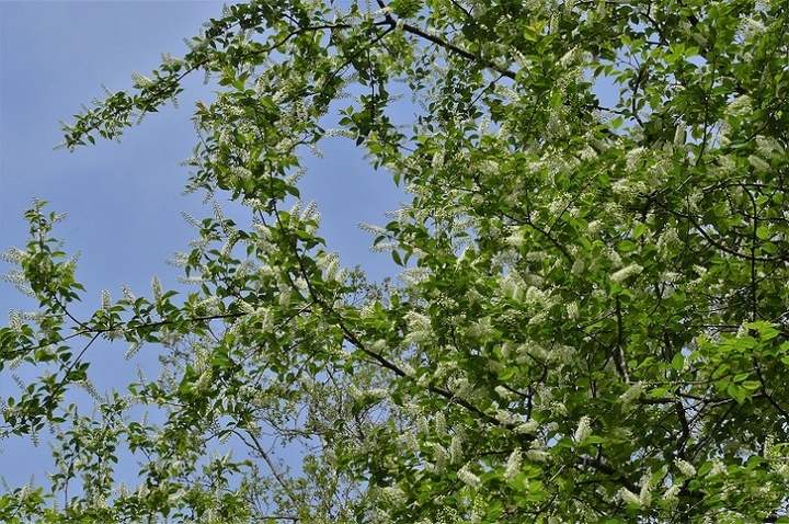 P1210044.JPG