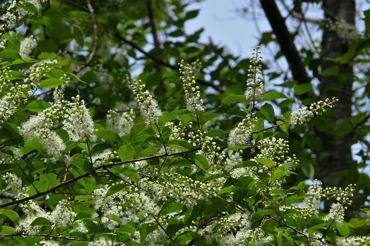P1210045.JPG
