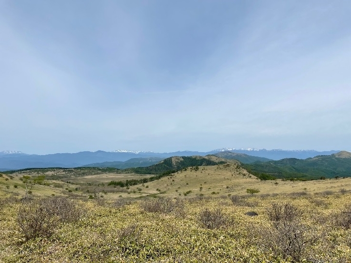 八島ヶ原湿原.jpg