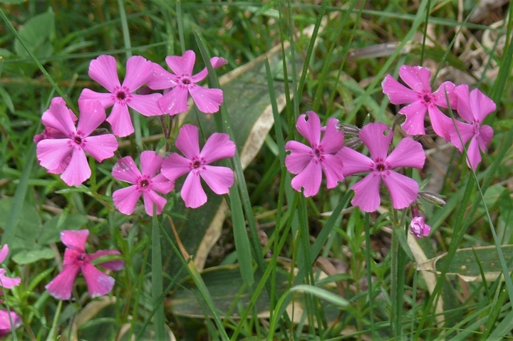 P1220107.JPG