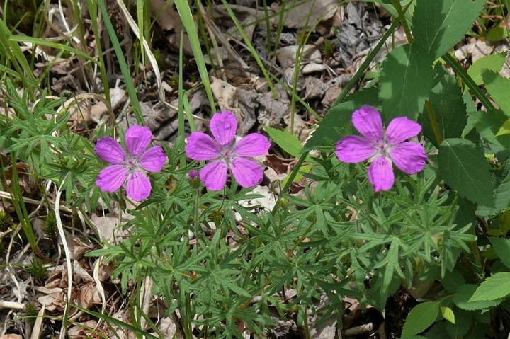 P1220109.JPG