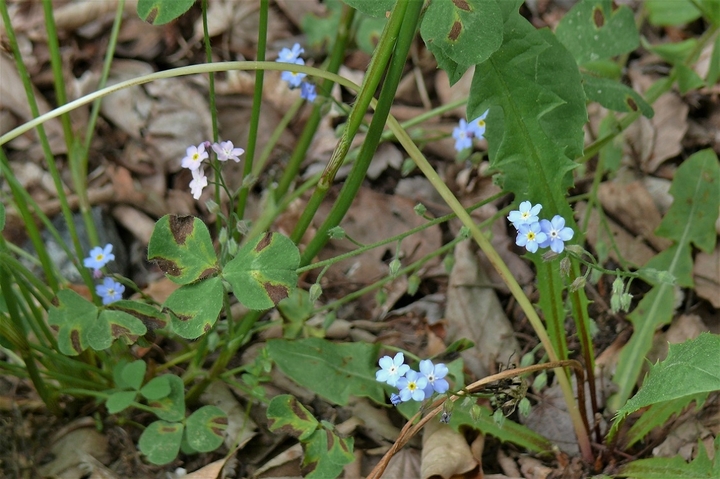 P1220110.JPG