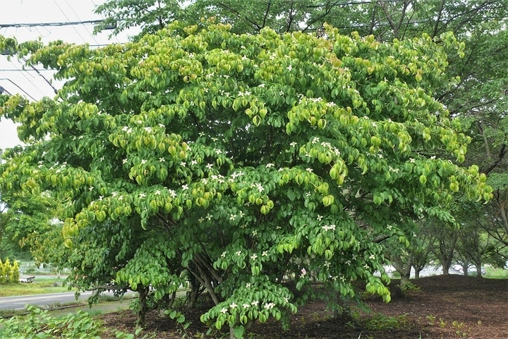P1220198.JPG