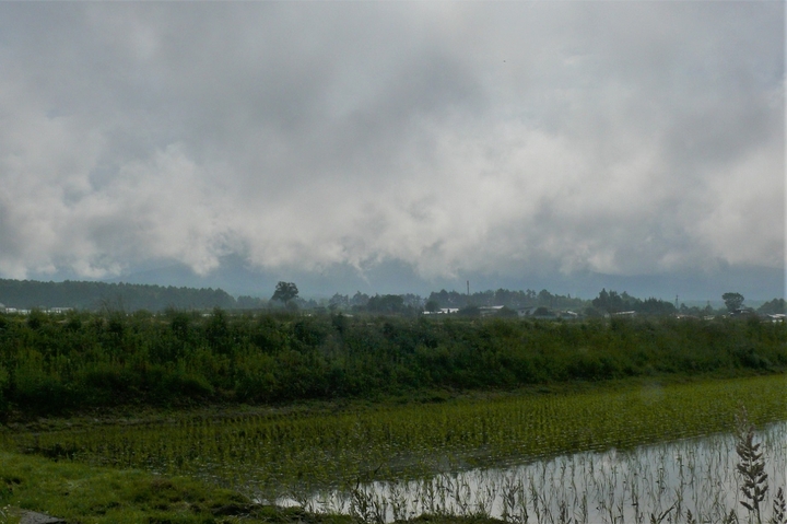 P1220195.JPG