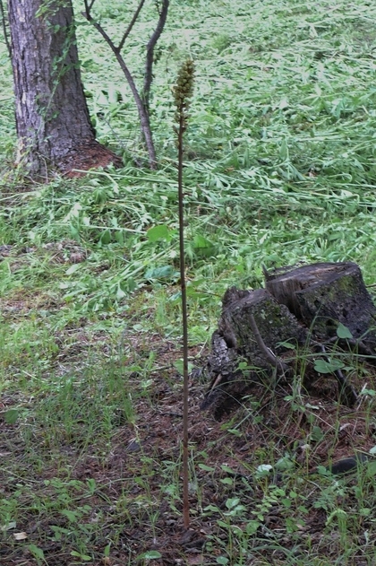 P1230230.JPG