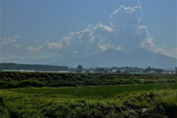 P1220793.JPG