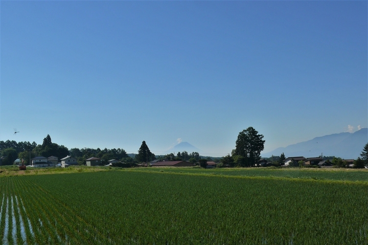 P1220736.JPG
