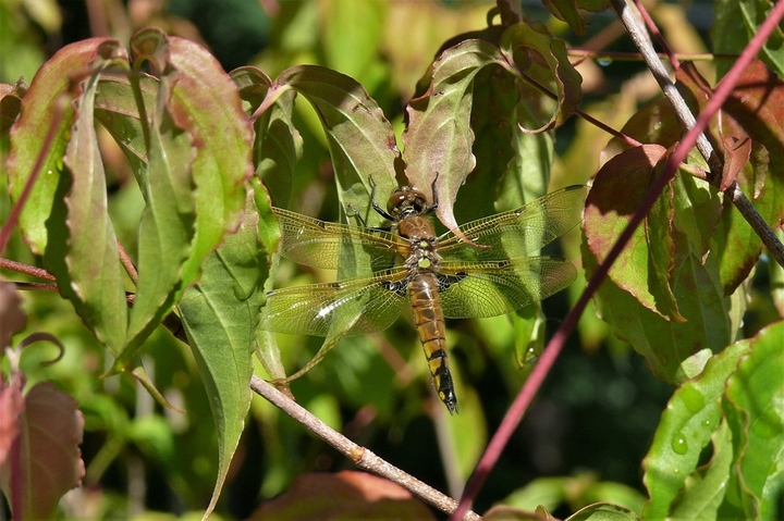 P1220744.JPG