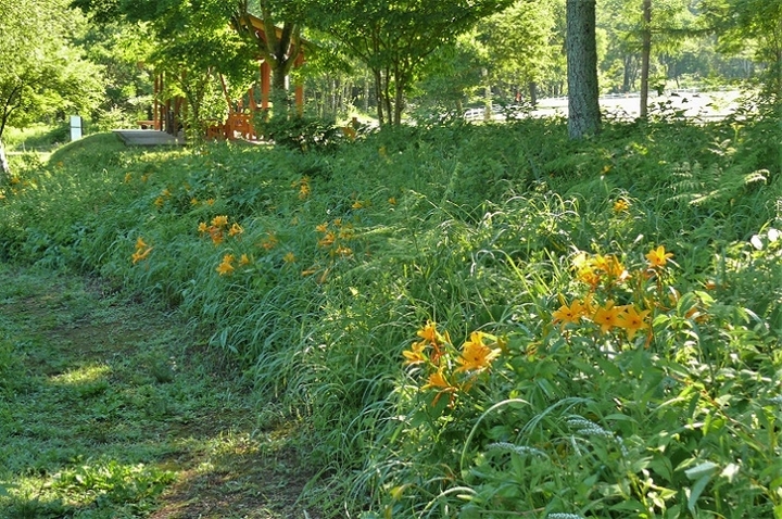 P1220754.JPG
