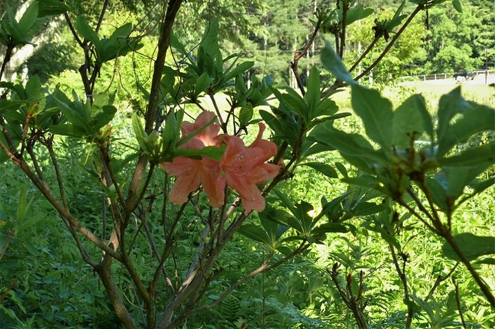 P1220761.JPG