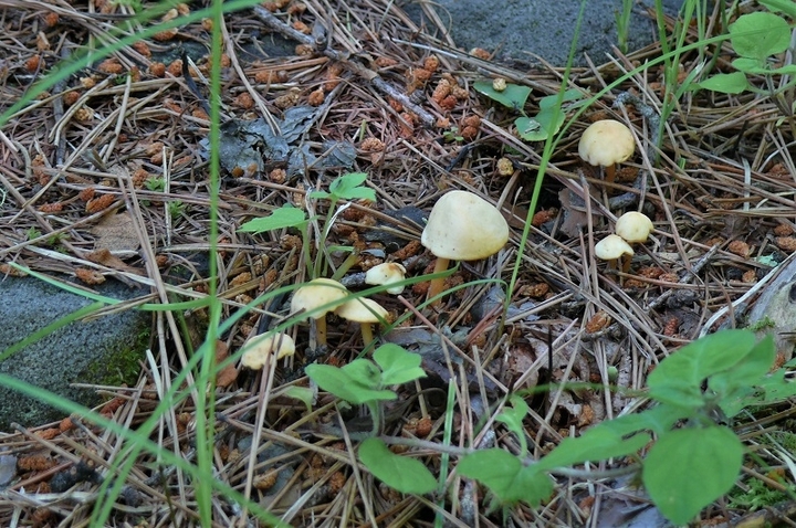 P1220781.JPG
