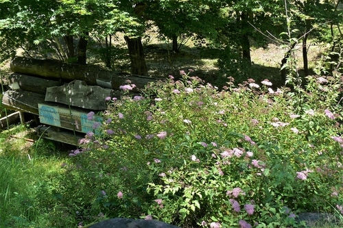 P1220789.JPG