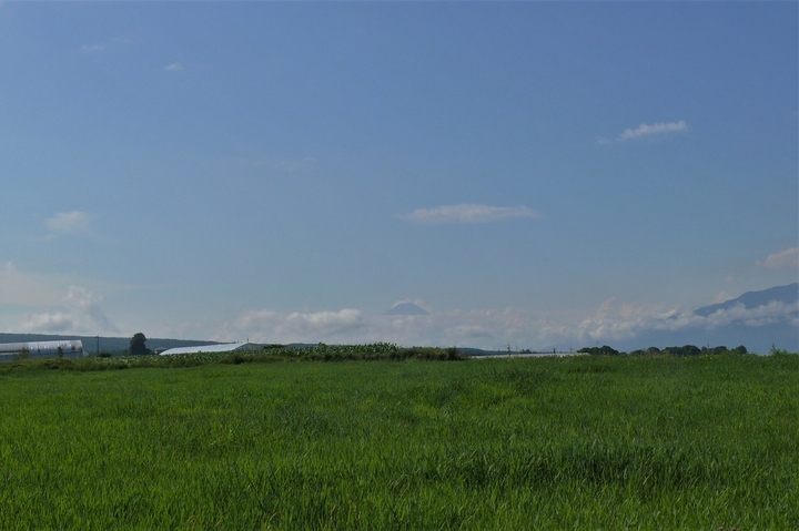 P1220910.JPG
