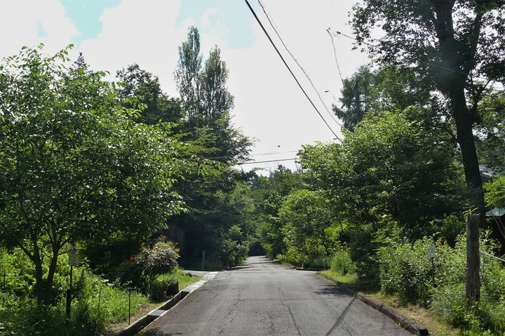 P1220932.JPG