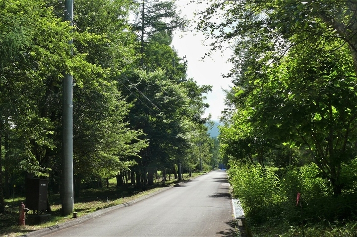 P1220939.JPG