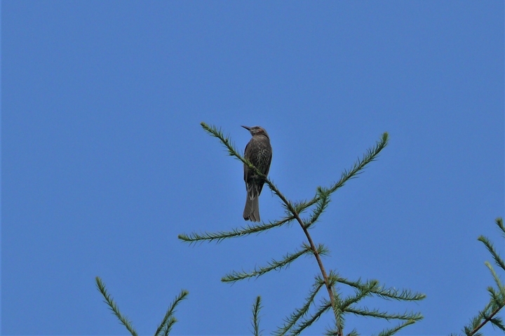 P1220941.JPG