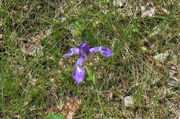P1220949.JPG