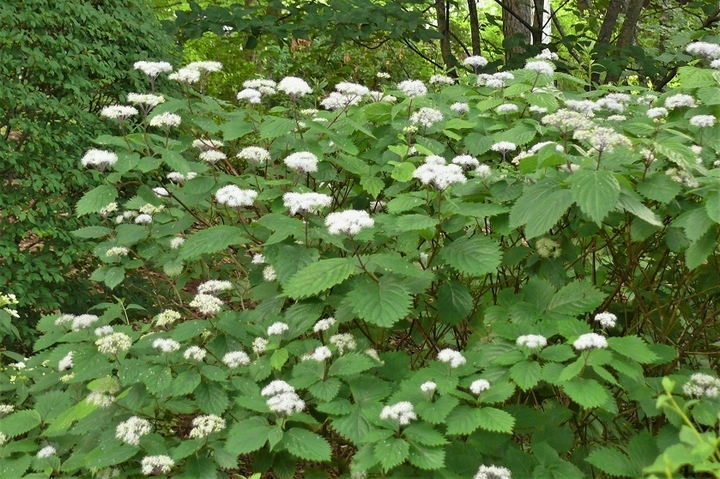P1220970.JPG